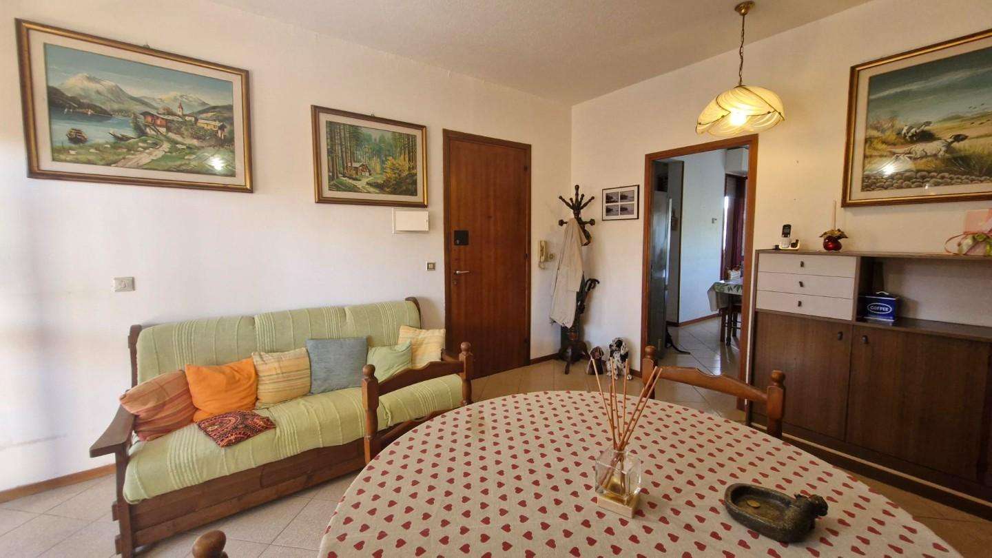  - foto 12
