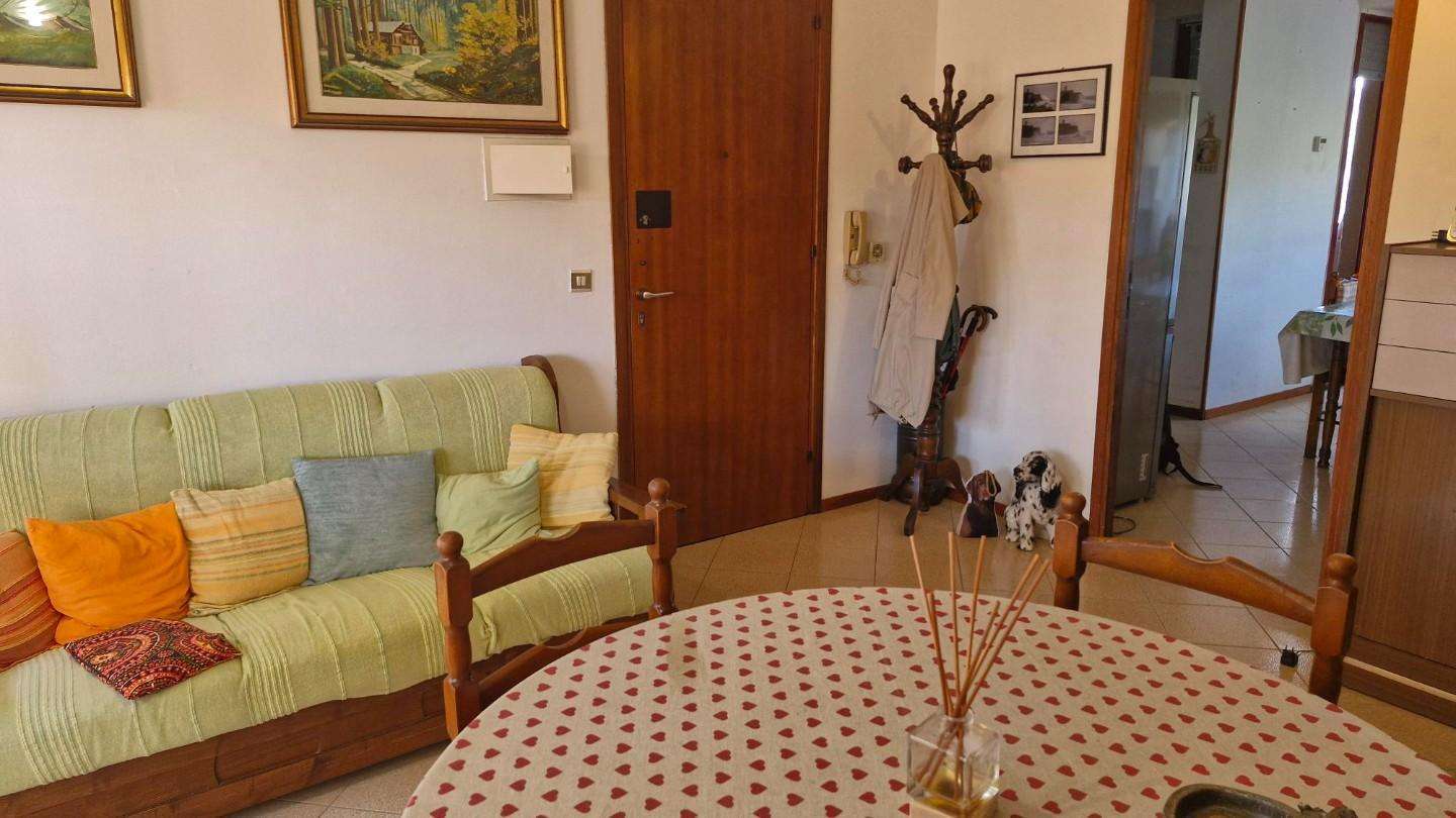  - foto 13
