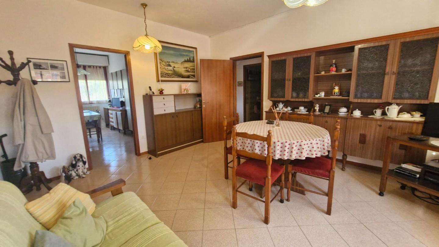  - foto 15