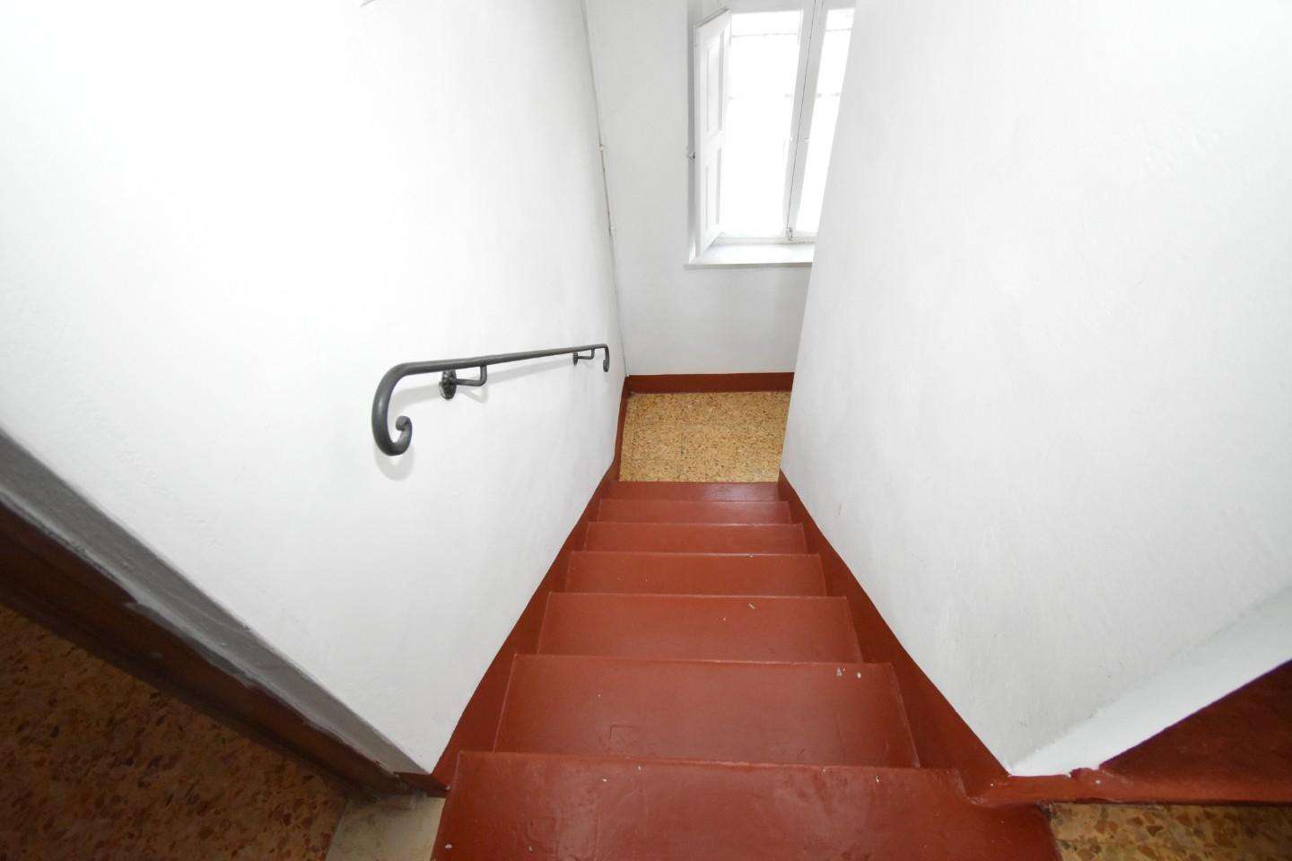  - foto 11