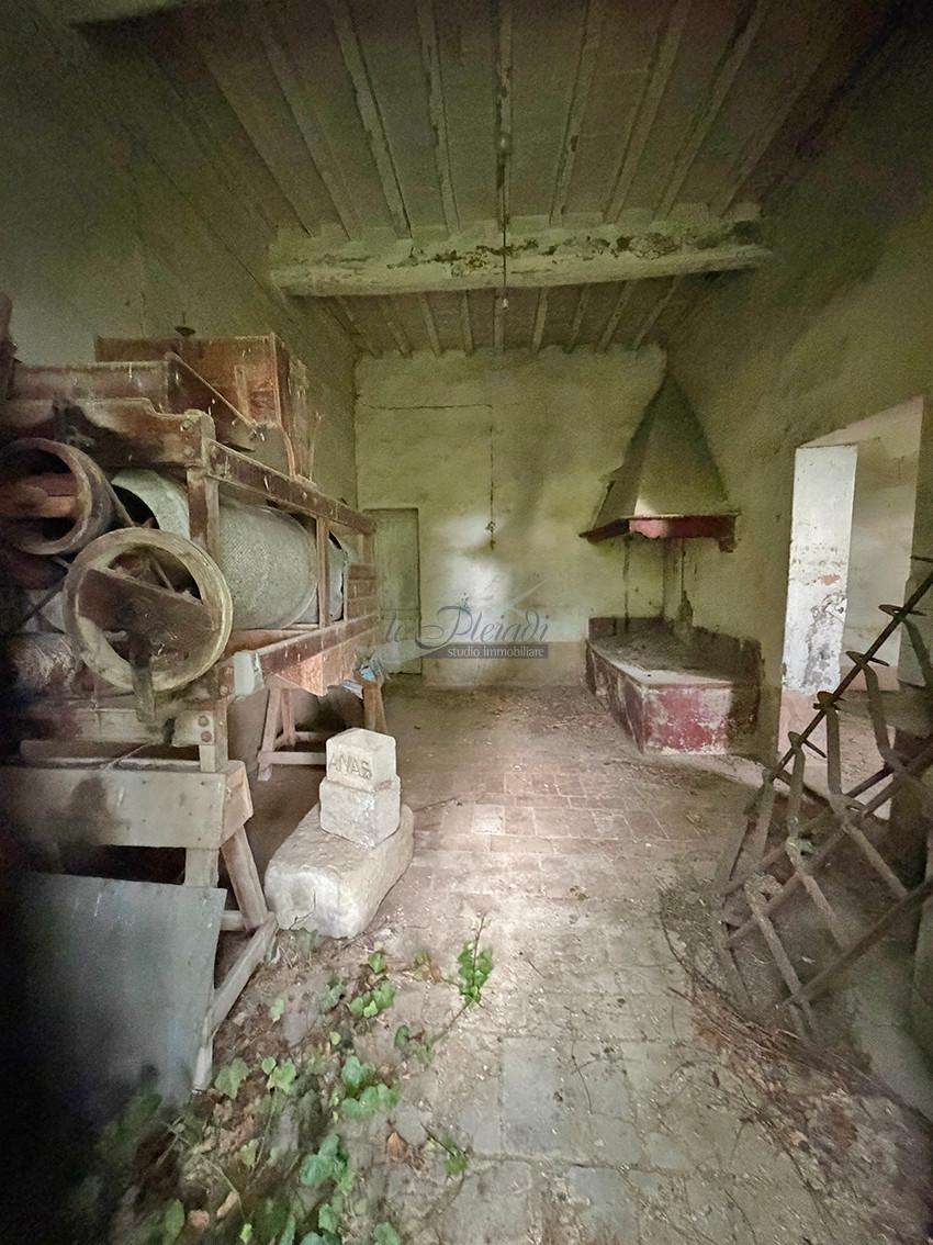  - foto 19