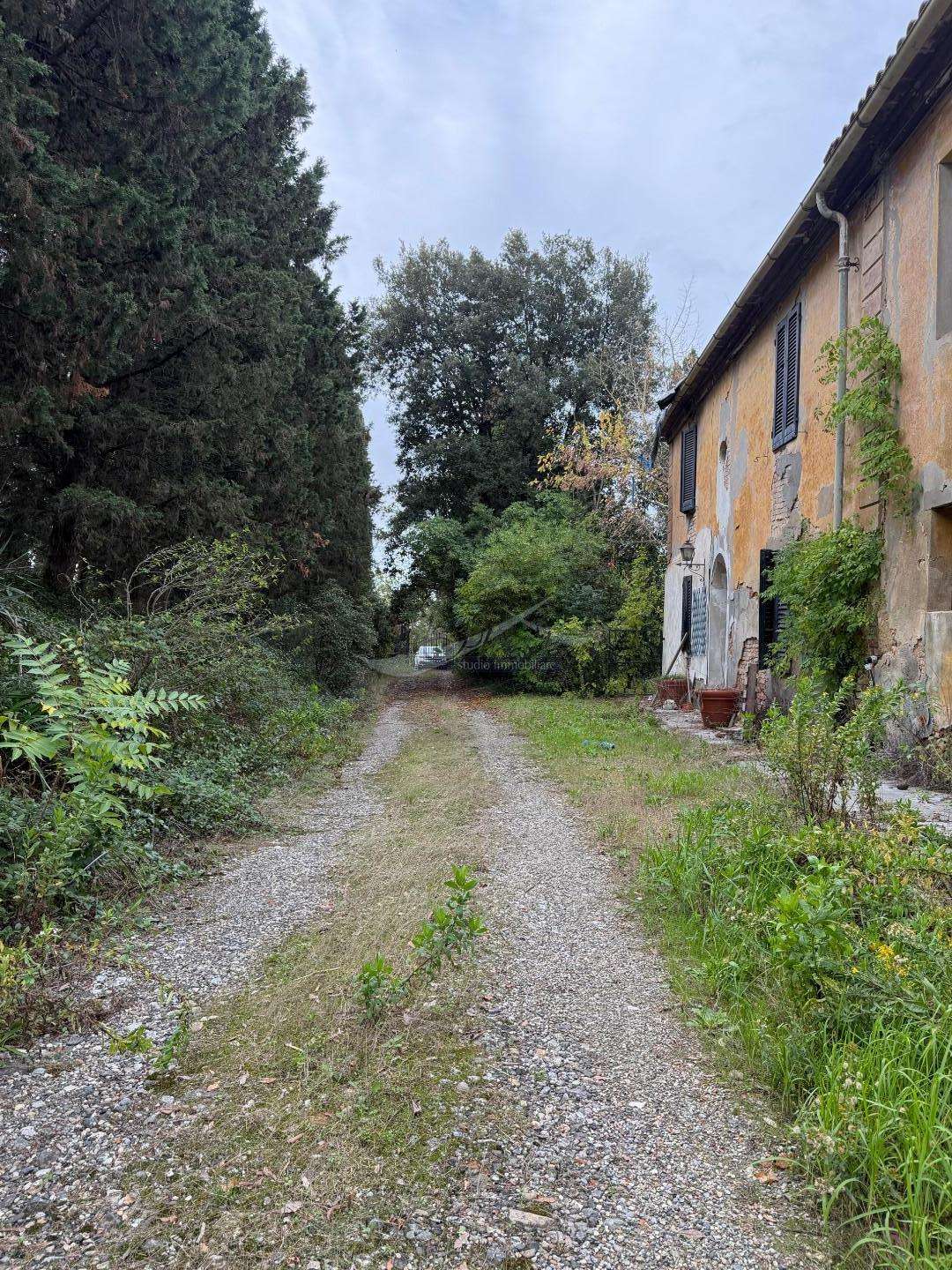  - foto 5