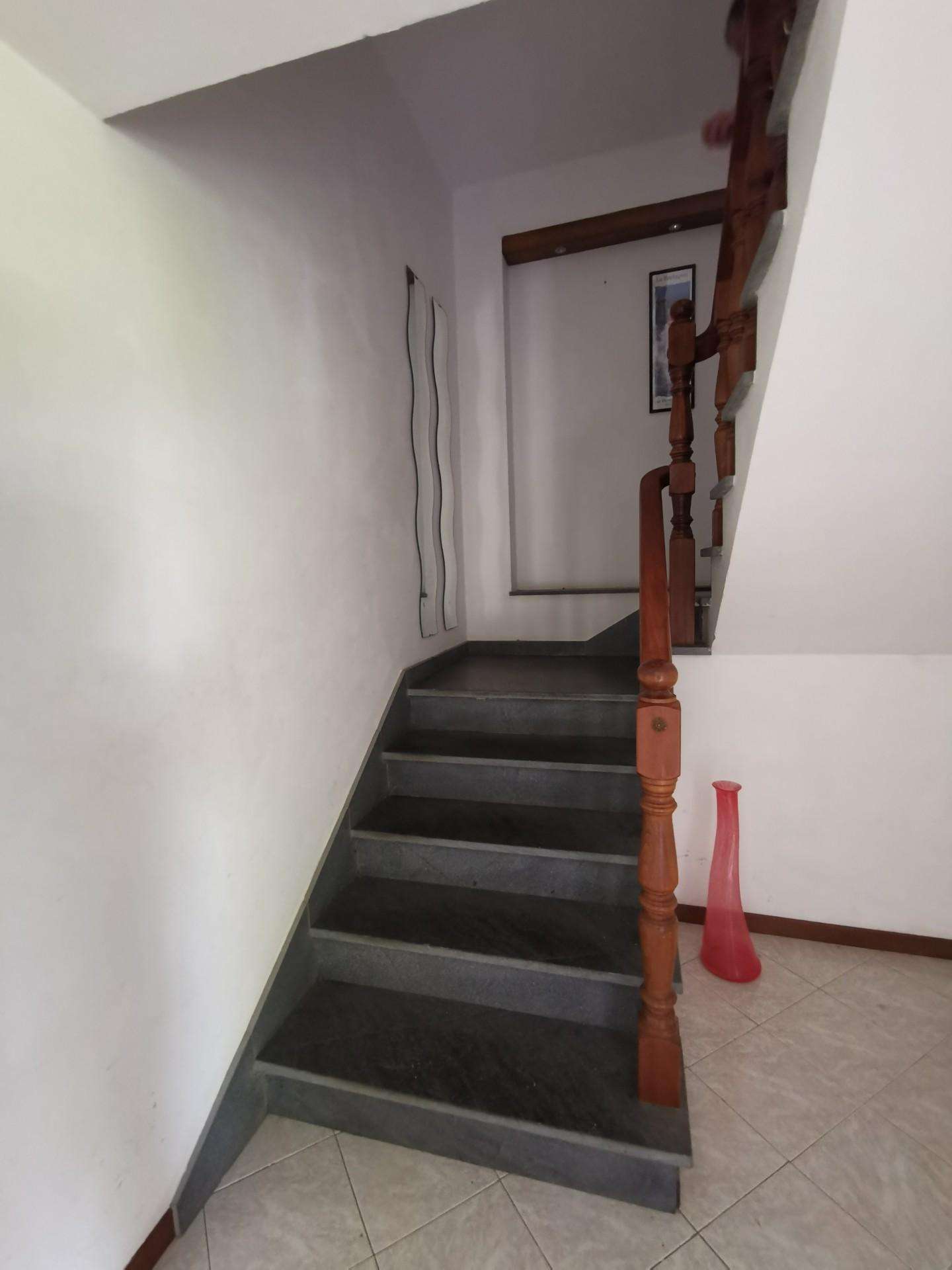  - foto 36