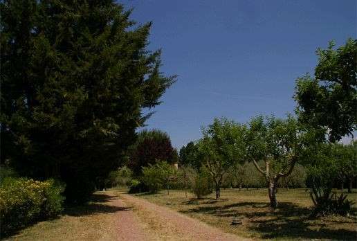 Rustico Via Terriciolese,, Terricciola