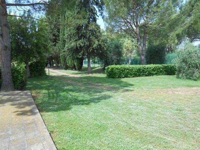  - foto 10