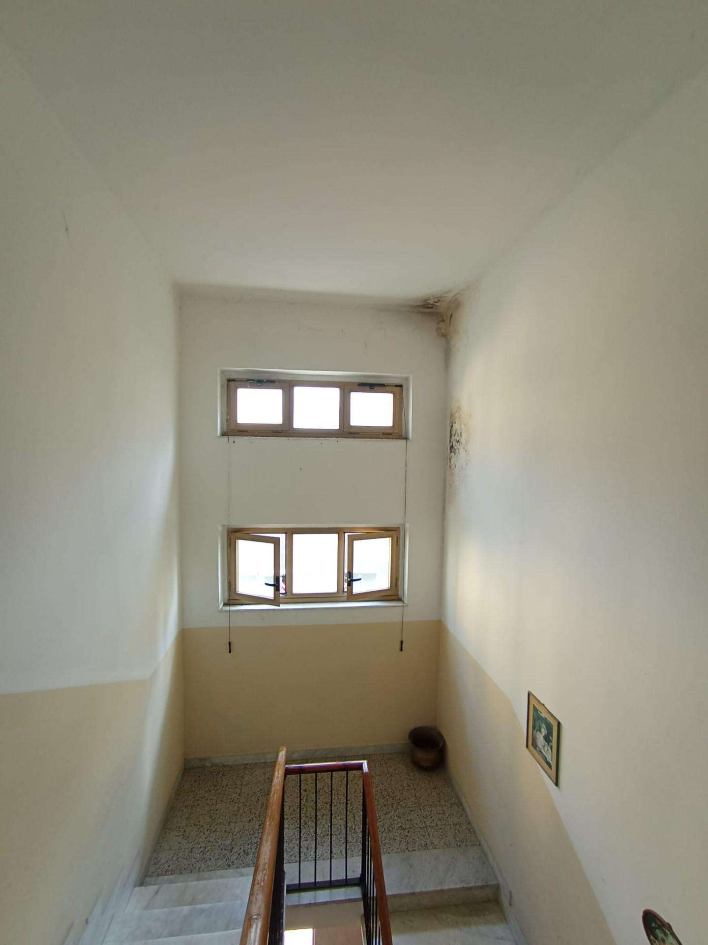  - foto 23