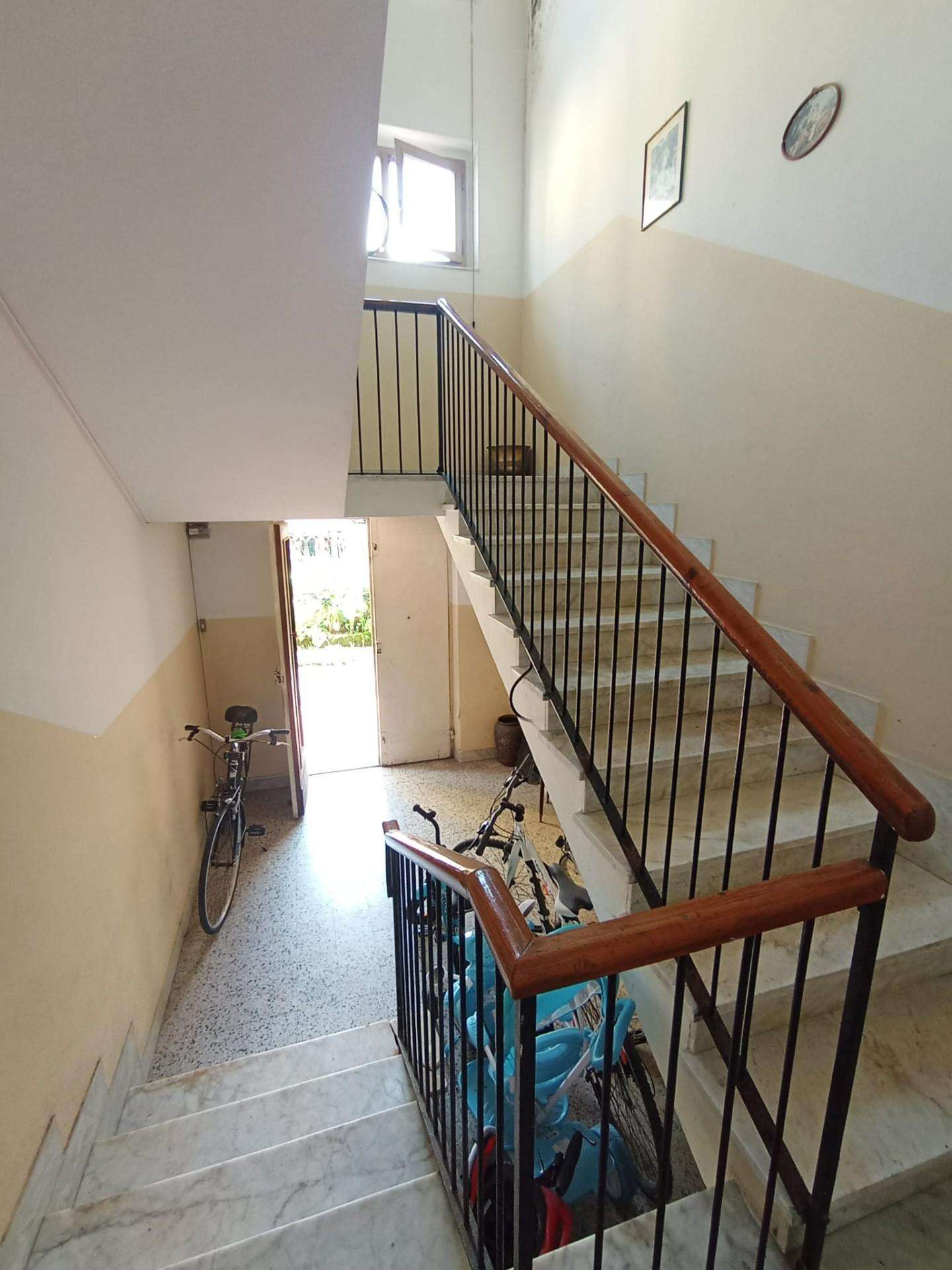  - foto 25