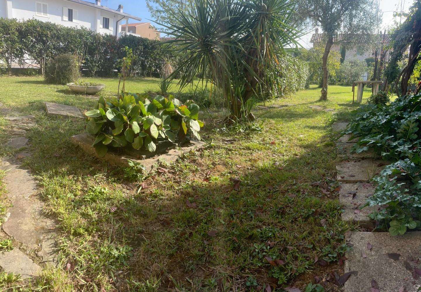  - foto 15