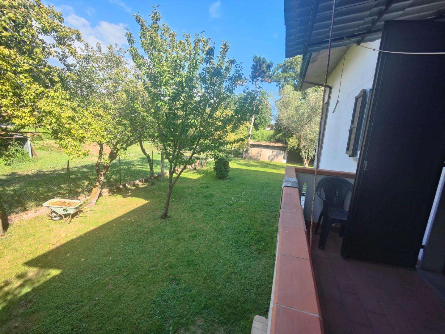  - foto 31