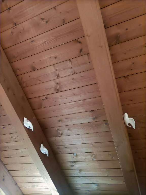  - foto 16