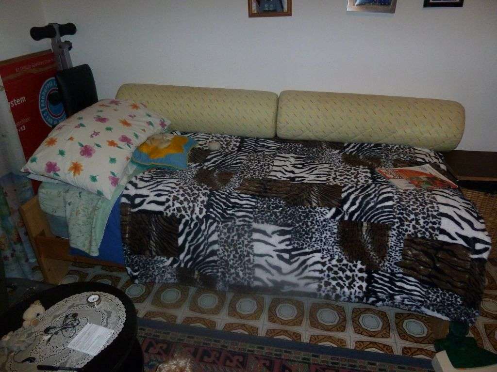  - foto 12
