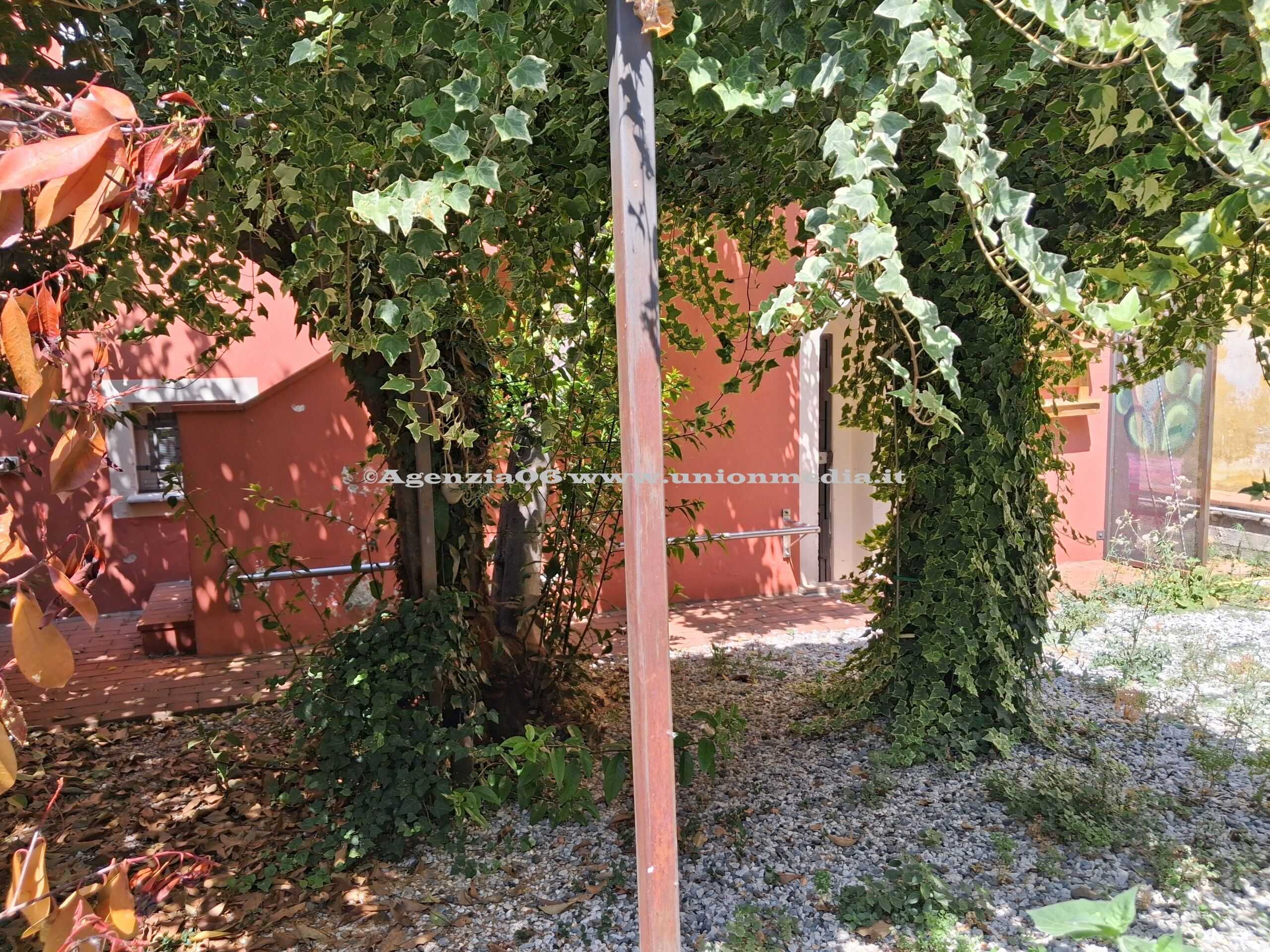  - foto 3