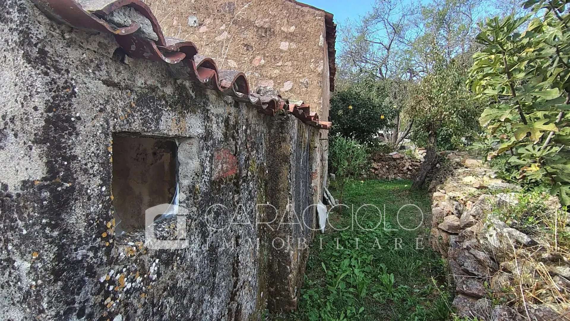  - foto 12