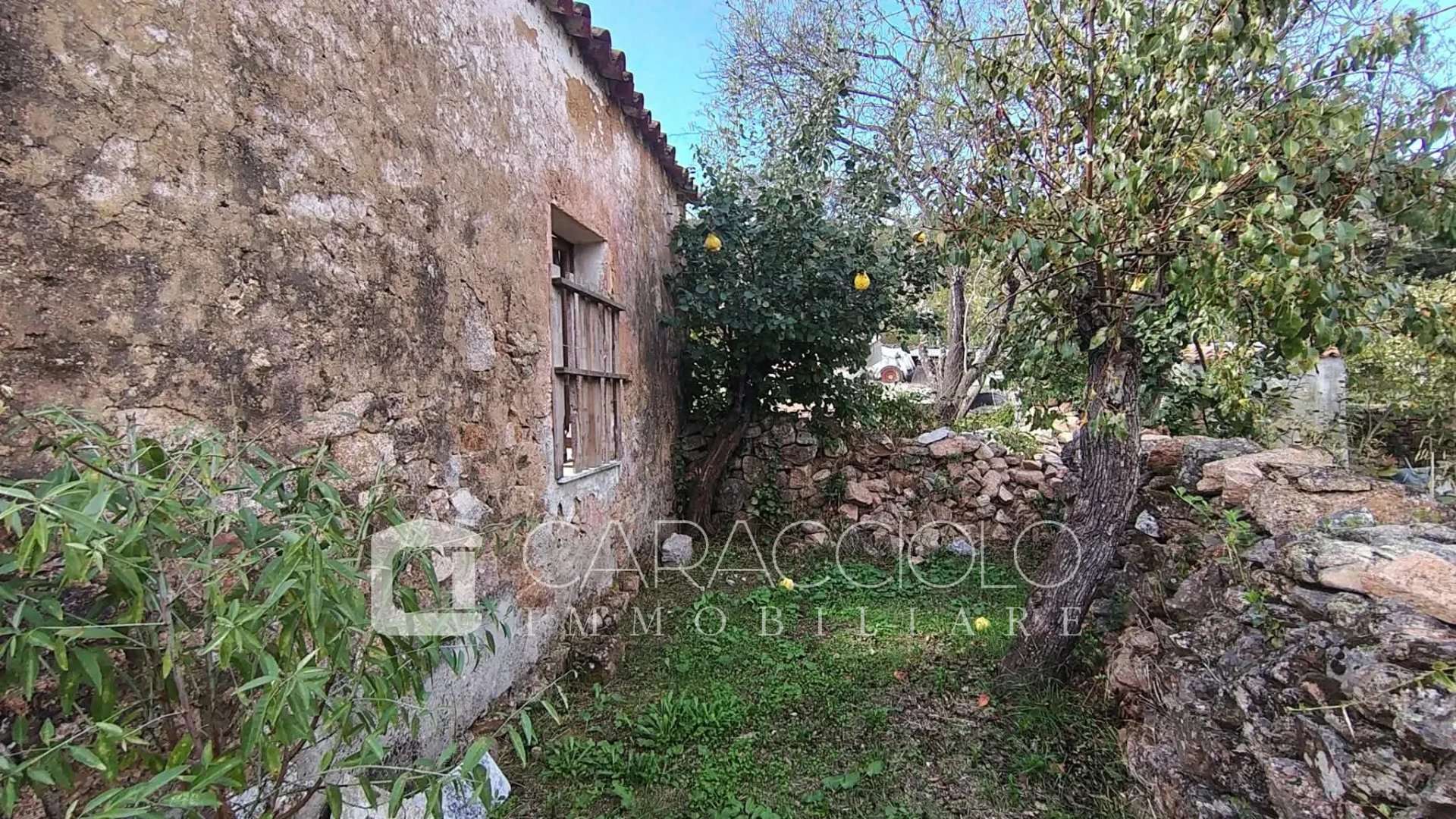  - foto 13