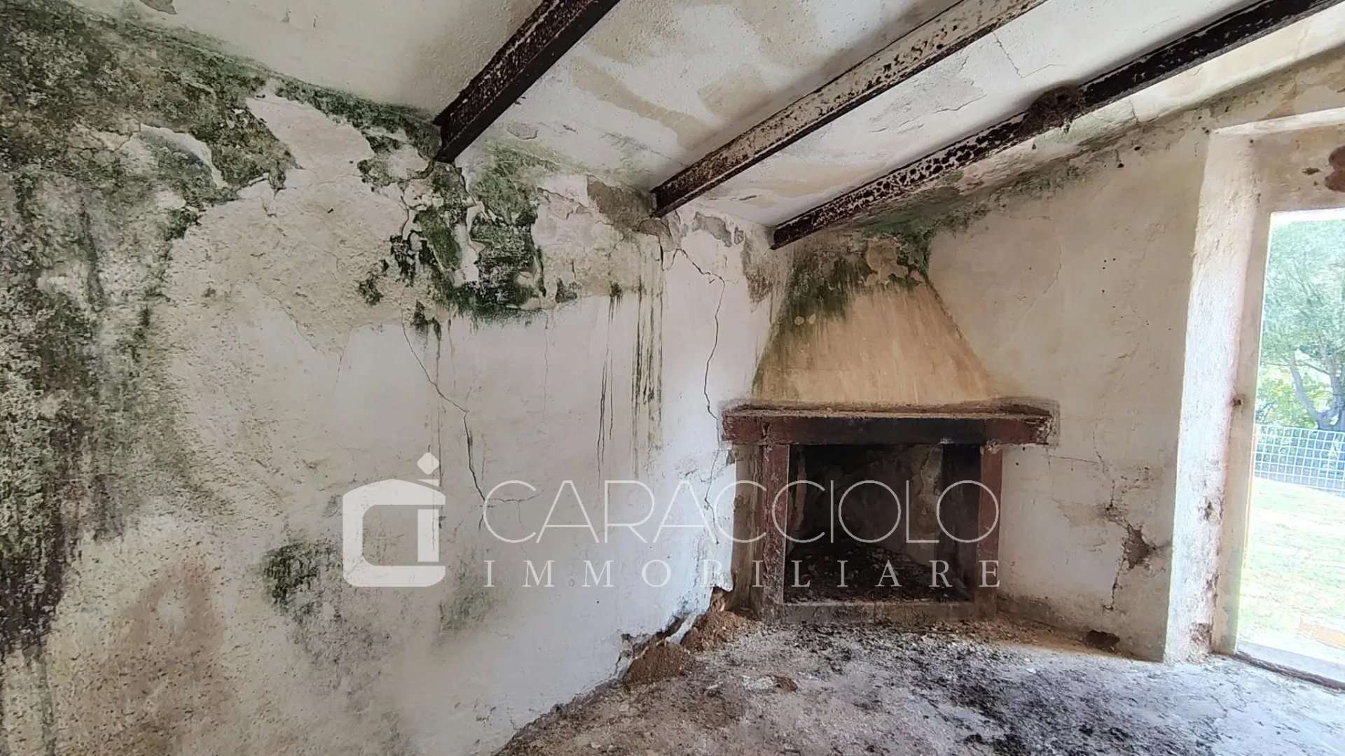  - foto 19