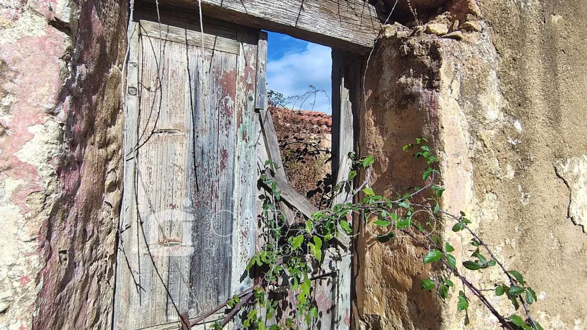  - foto 9