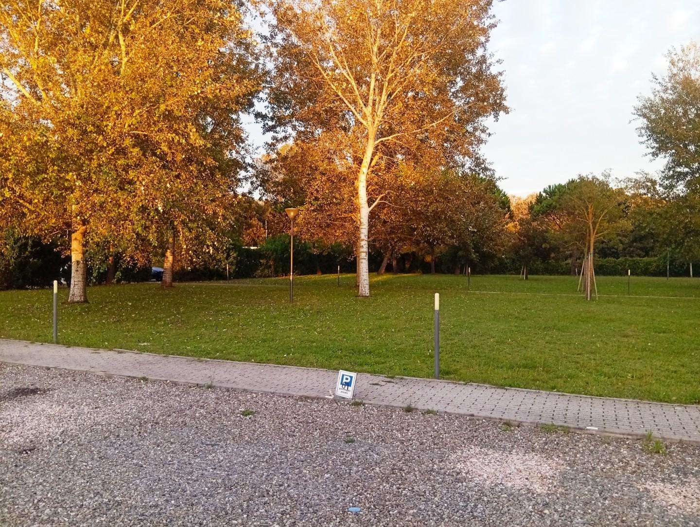  - foto 11