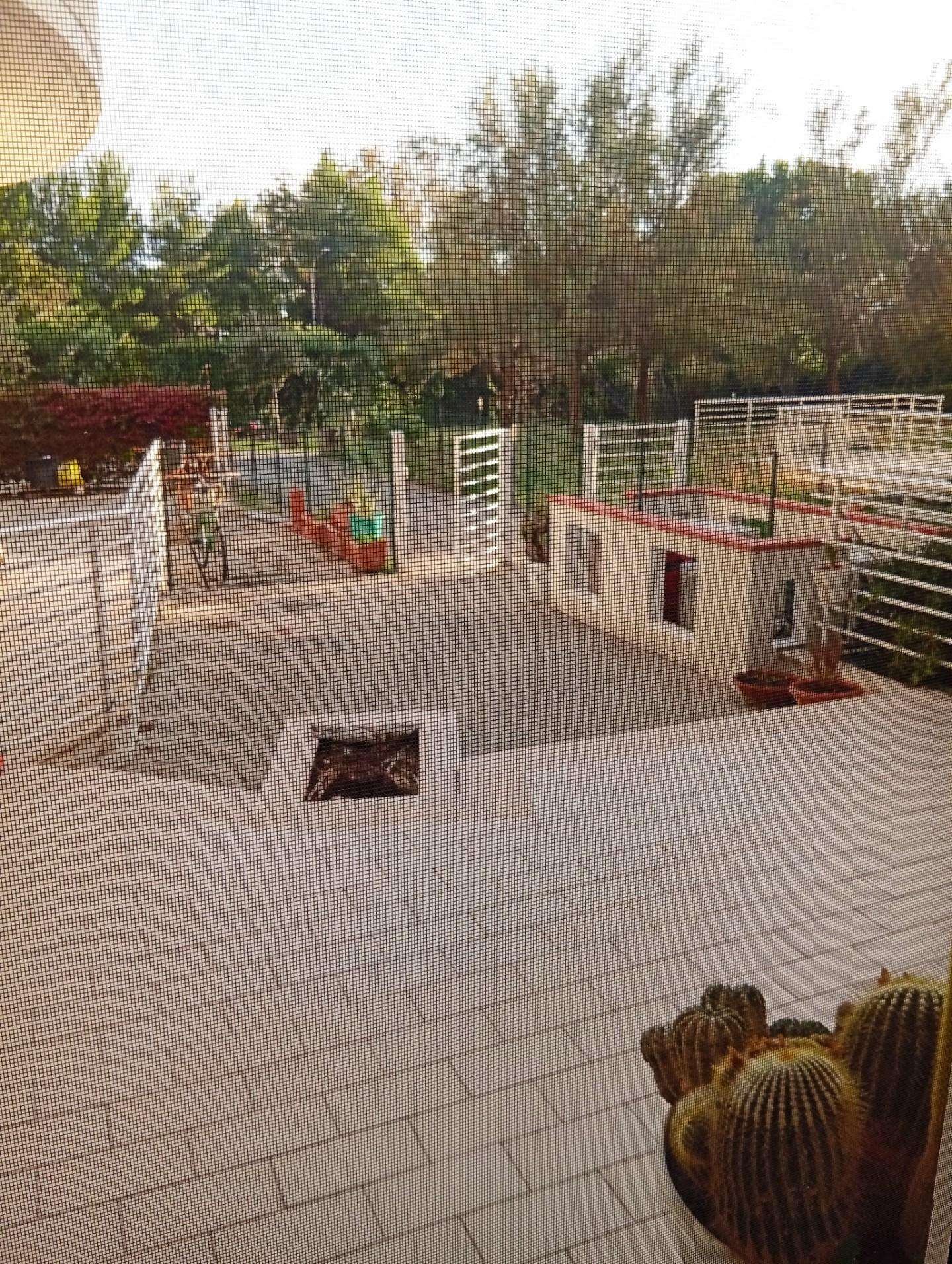  - foto 6