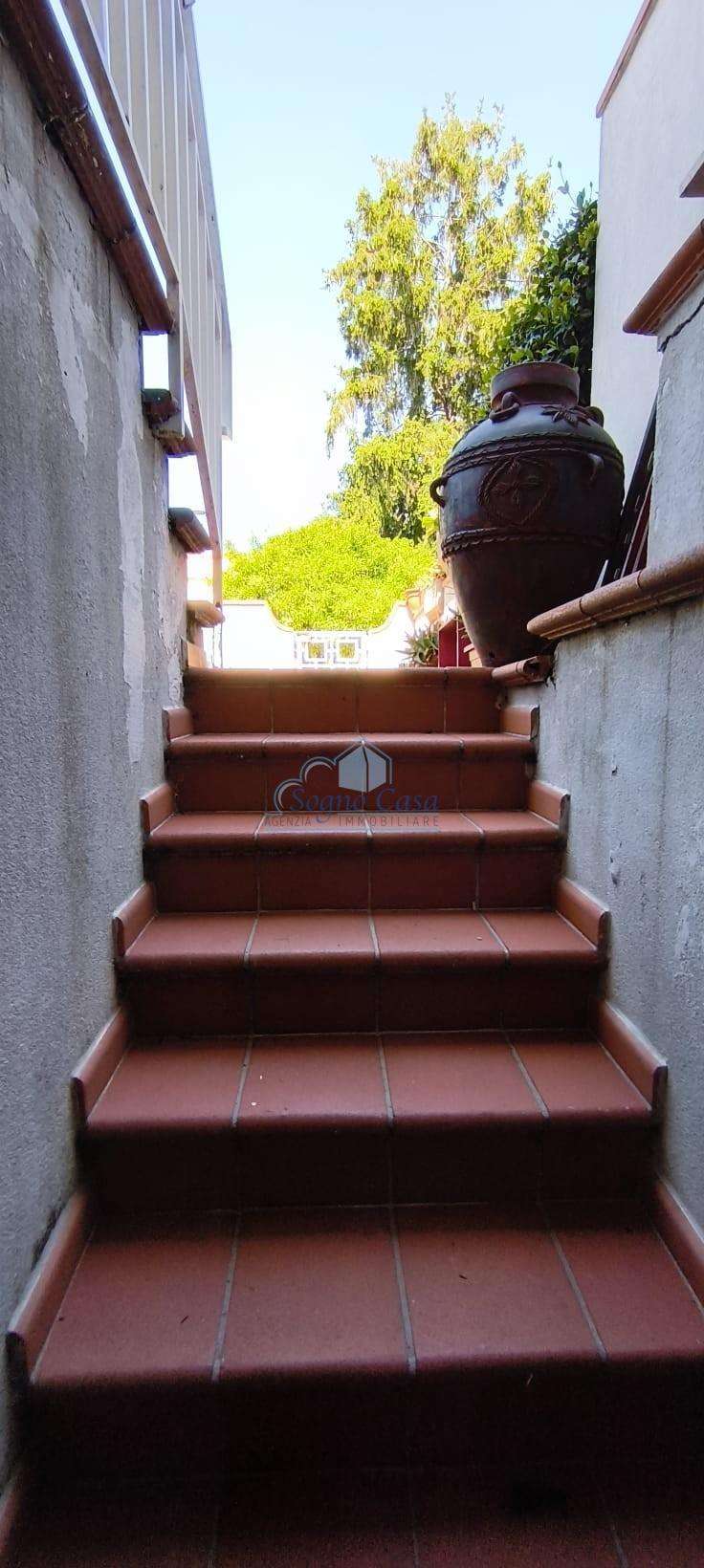  - foto 20