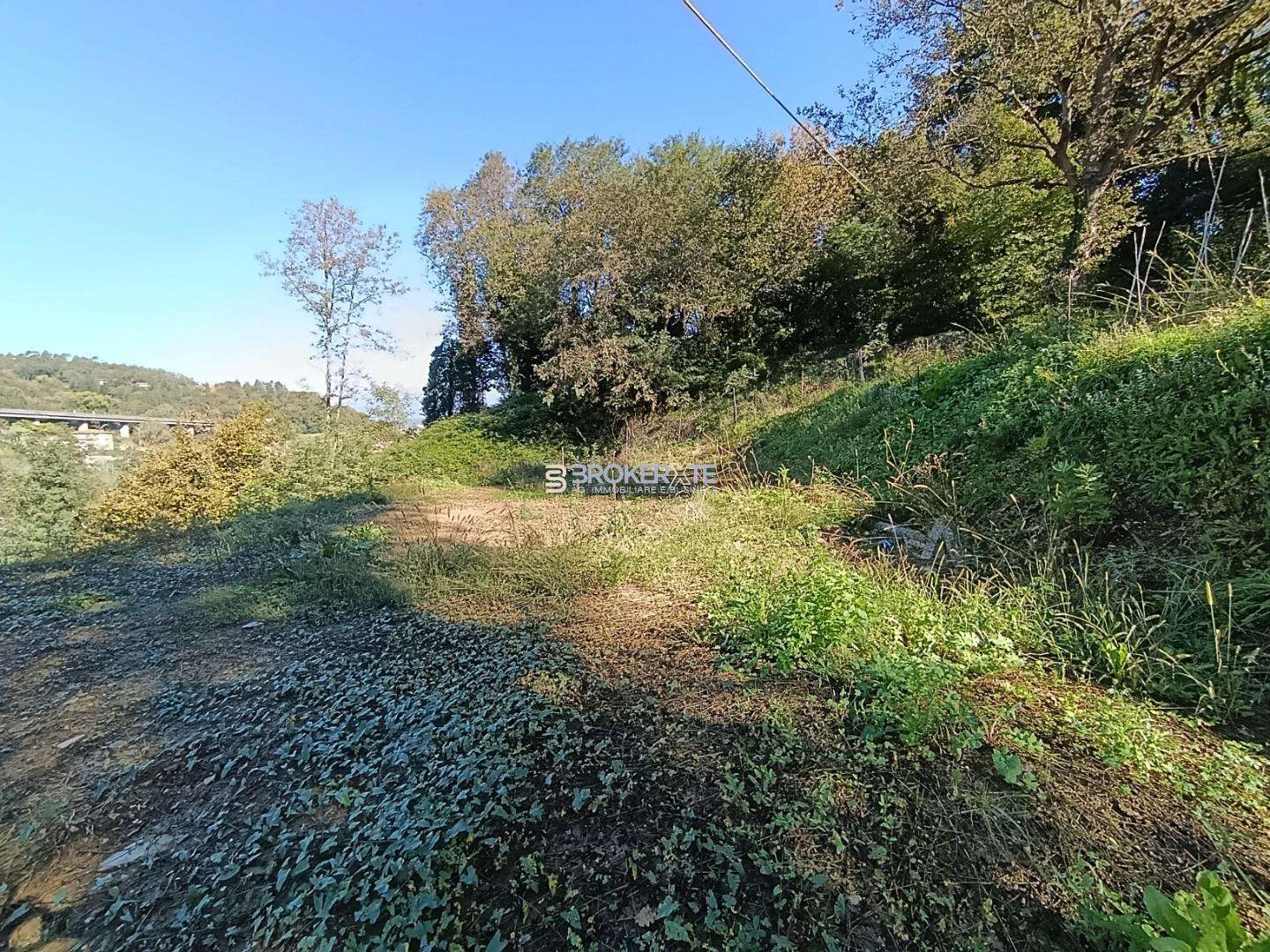  - foto 15