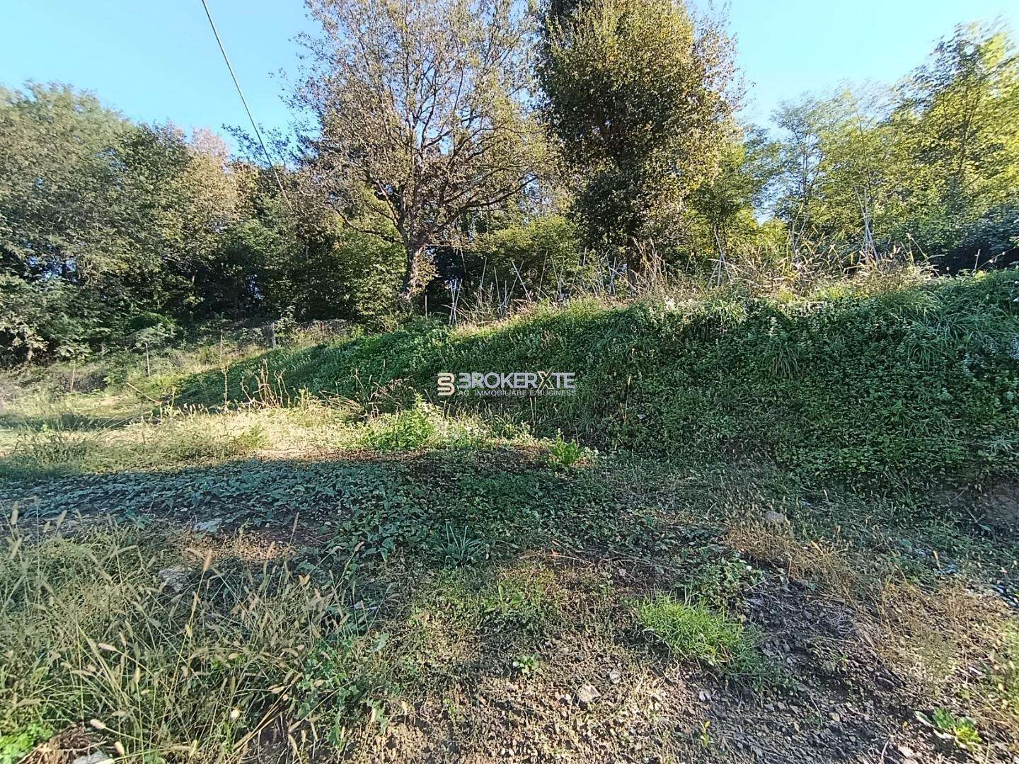  - foto 17