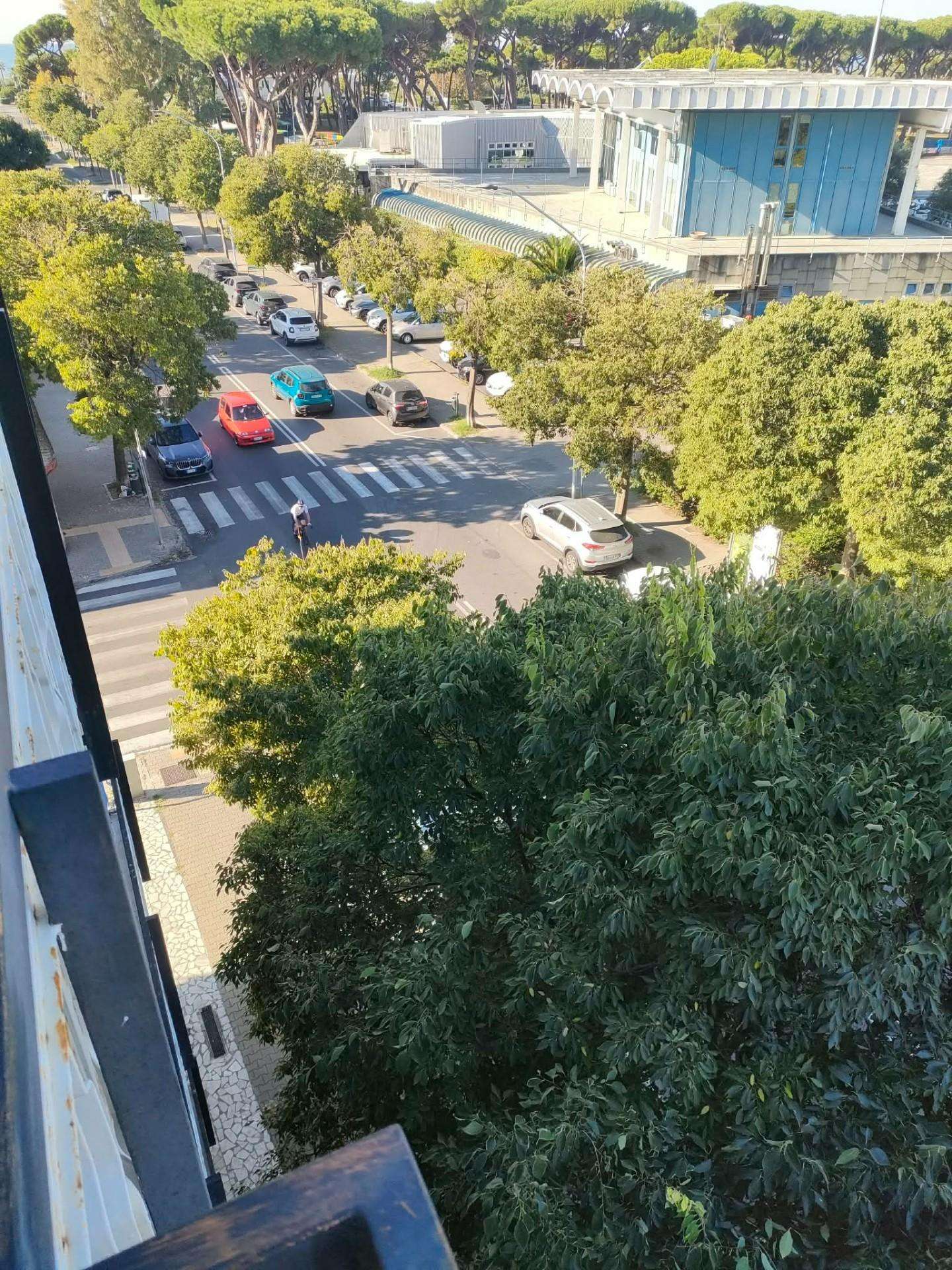  - foto 9