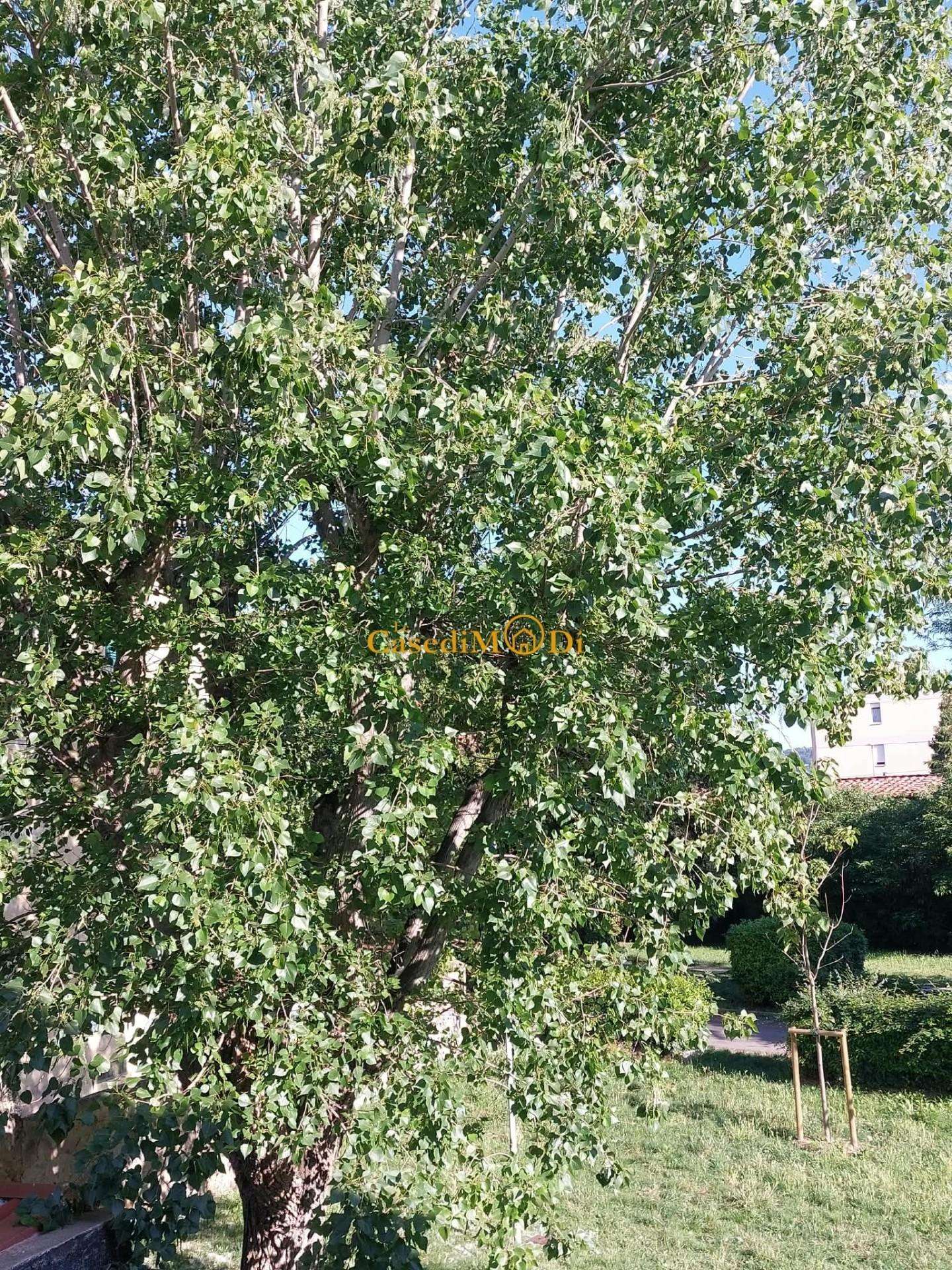  - foto 23