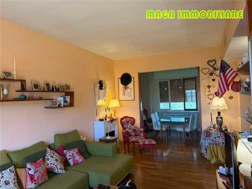  - foto 27