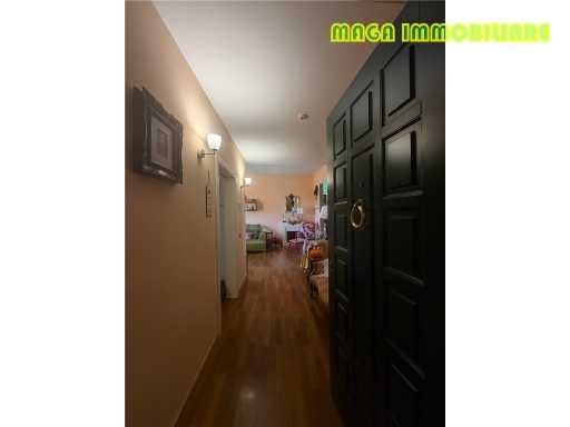  - foto 31