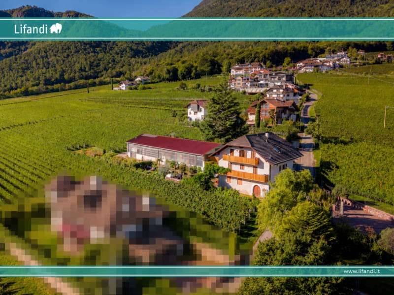Casa indipendente San Michele, Appiano sulla strada del vino