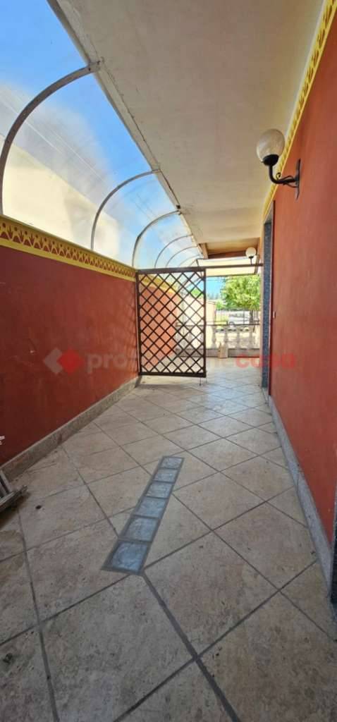  - foto 5
