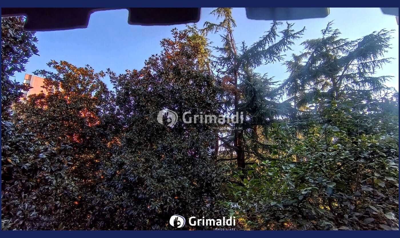  - foto 29