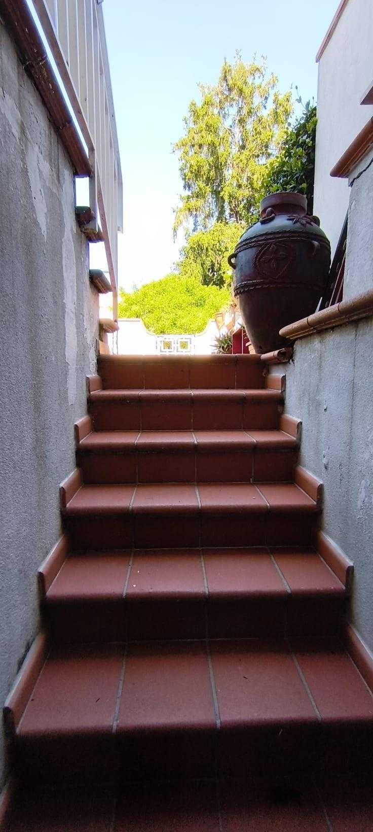  - foto 19