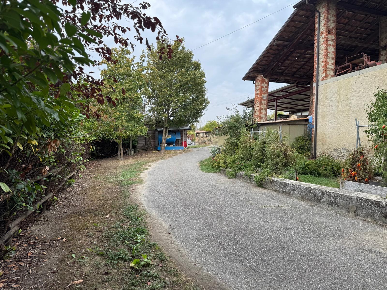  - foto 13