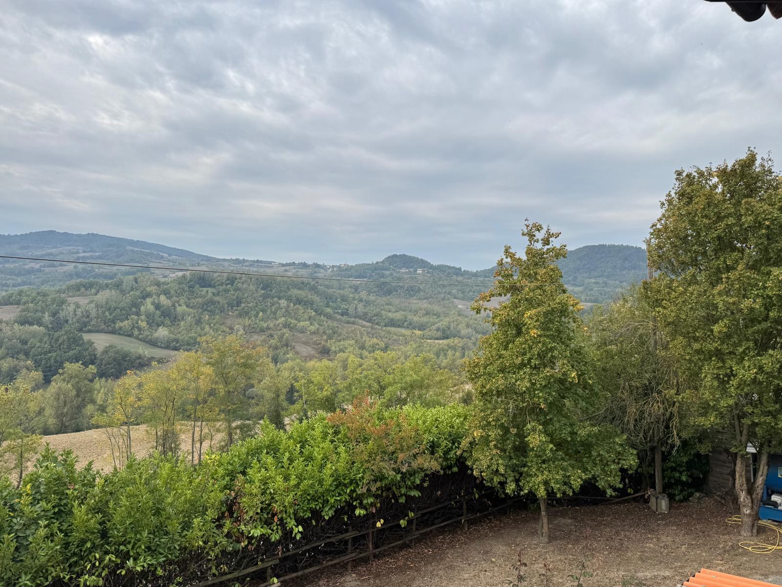  - foto 36