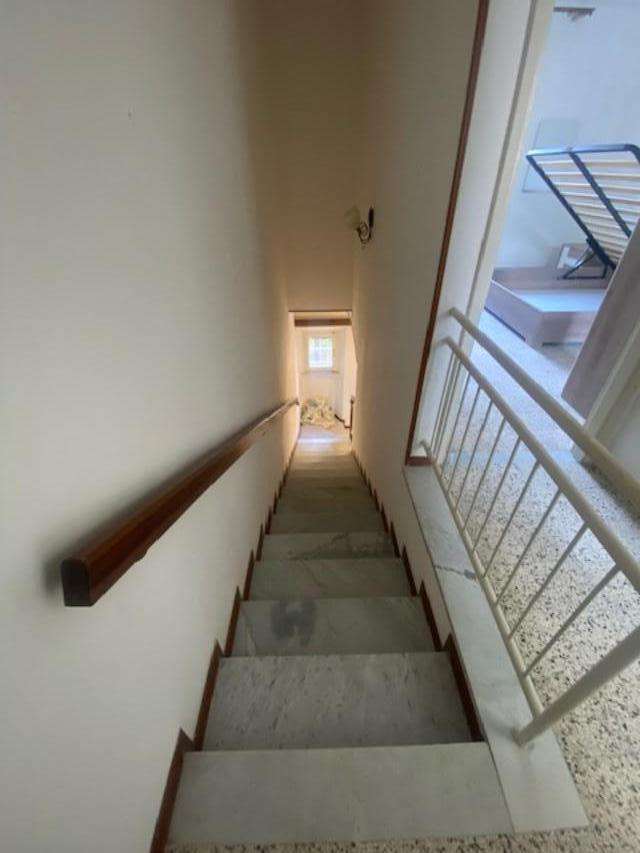  - foto 13