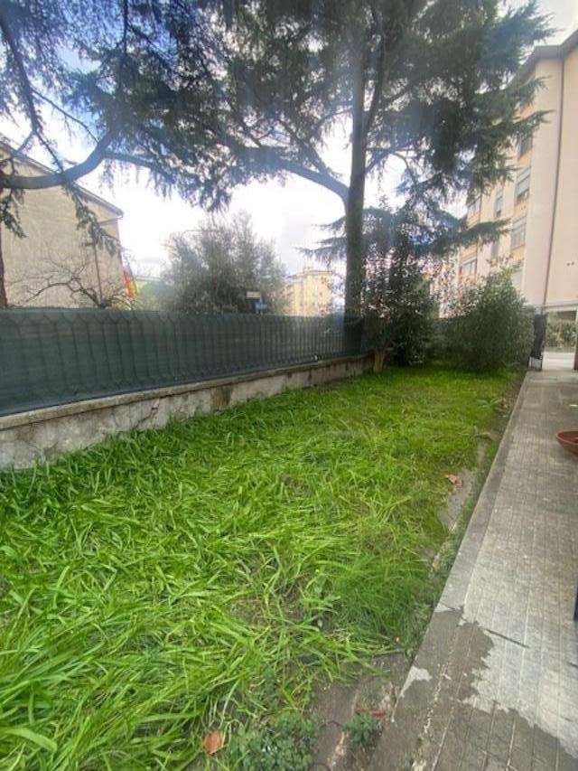  - foto 3