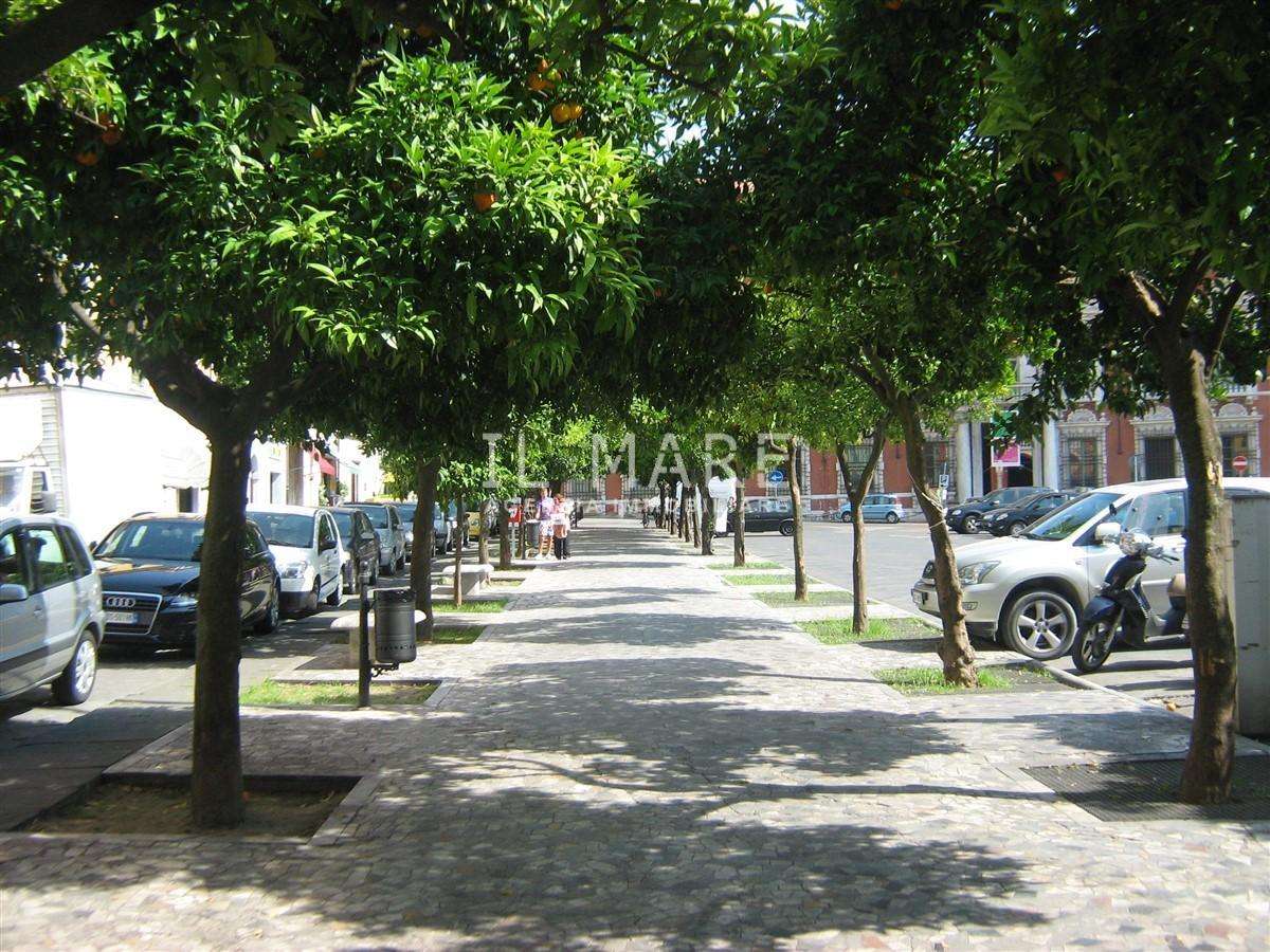  - foto 18