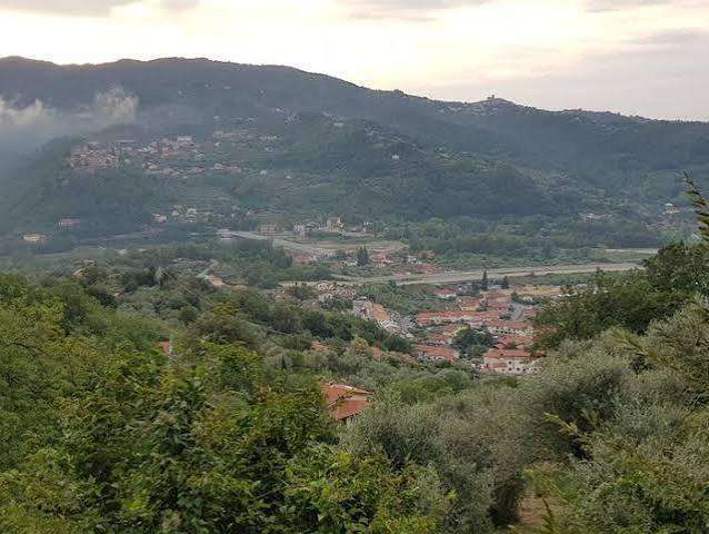 - foto 7