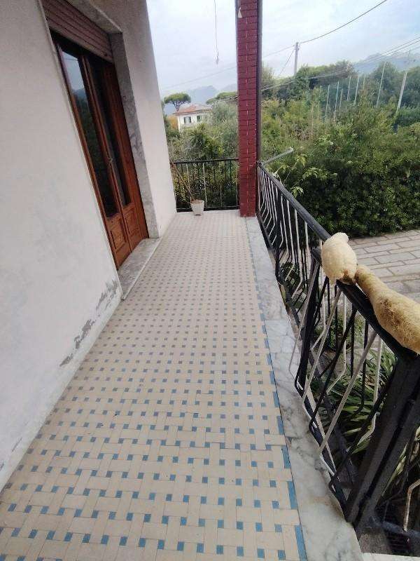  - foto 15