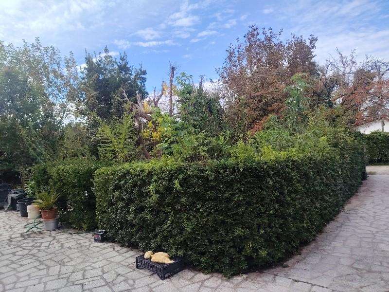  - foto 5