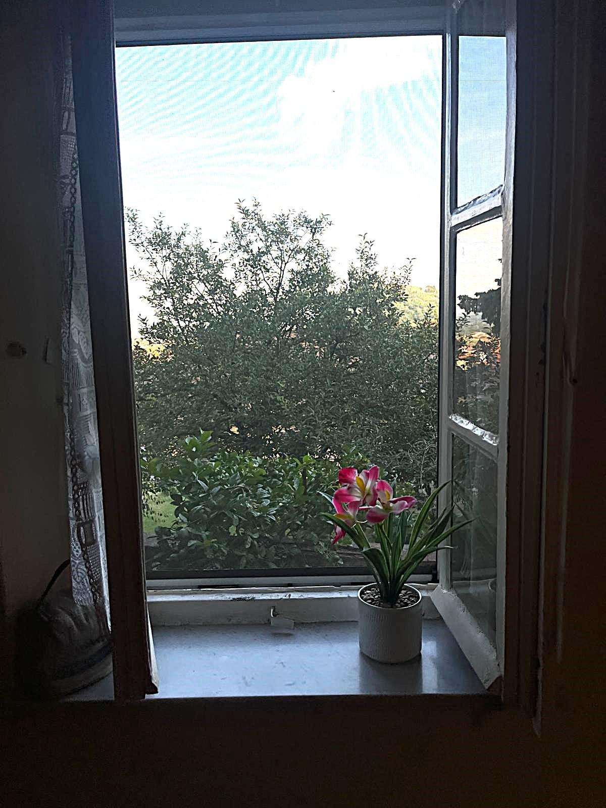  - foto 11