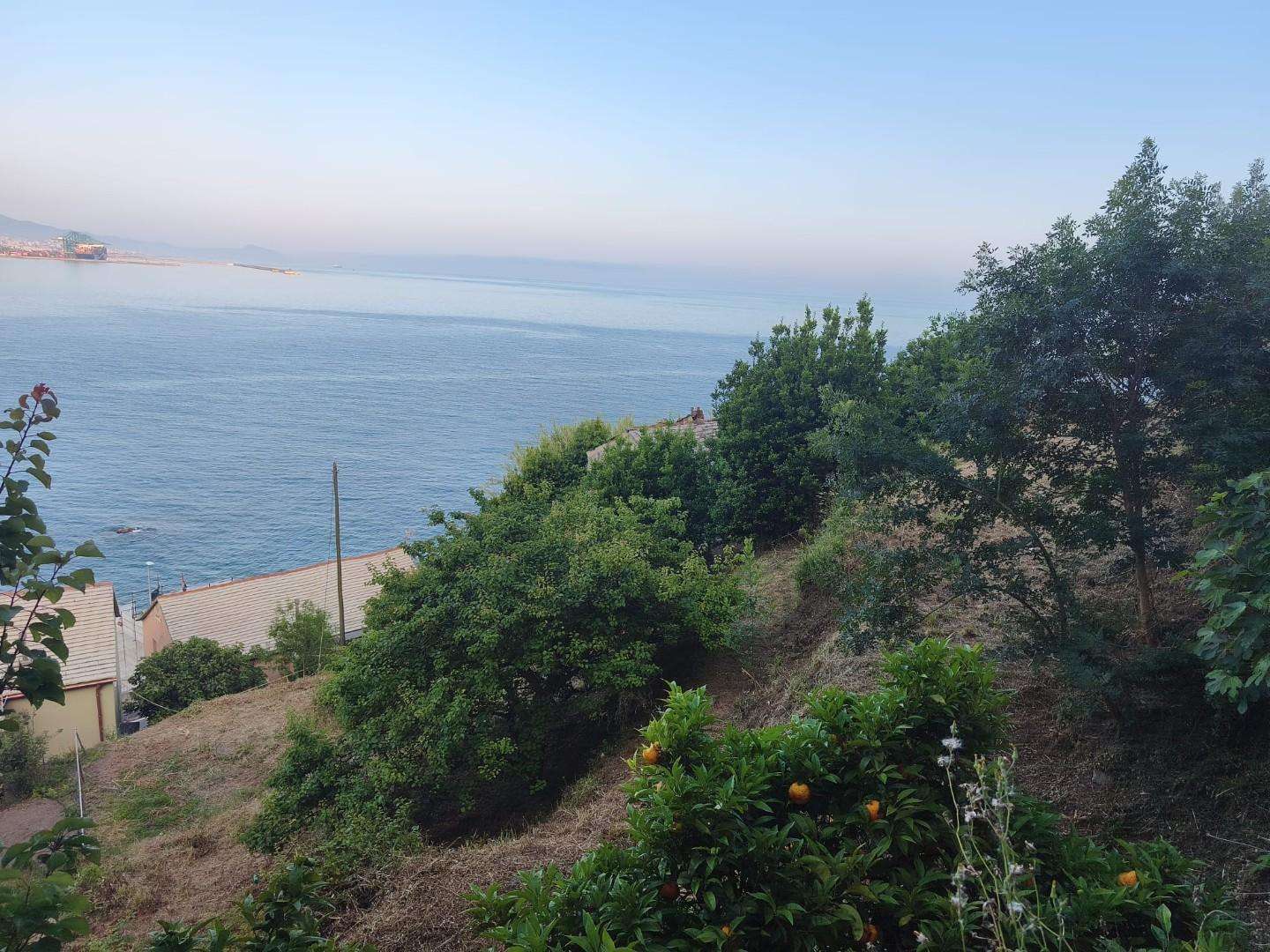  - foto 37