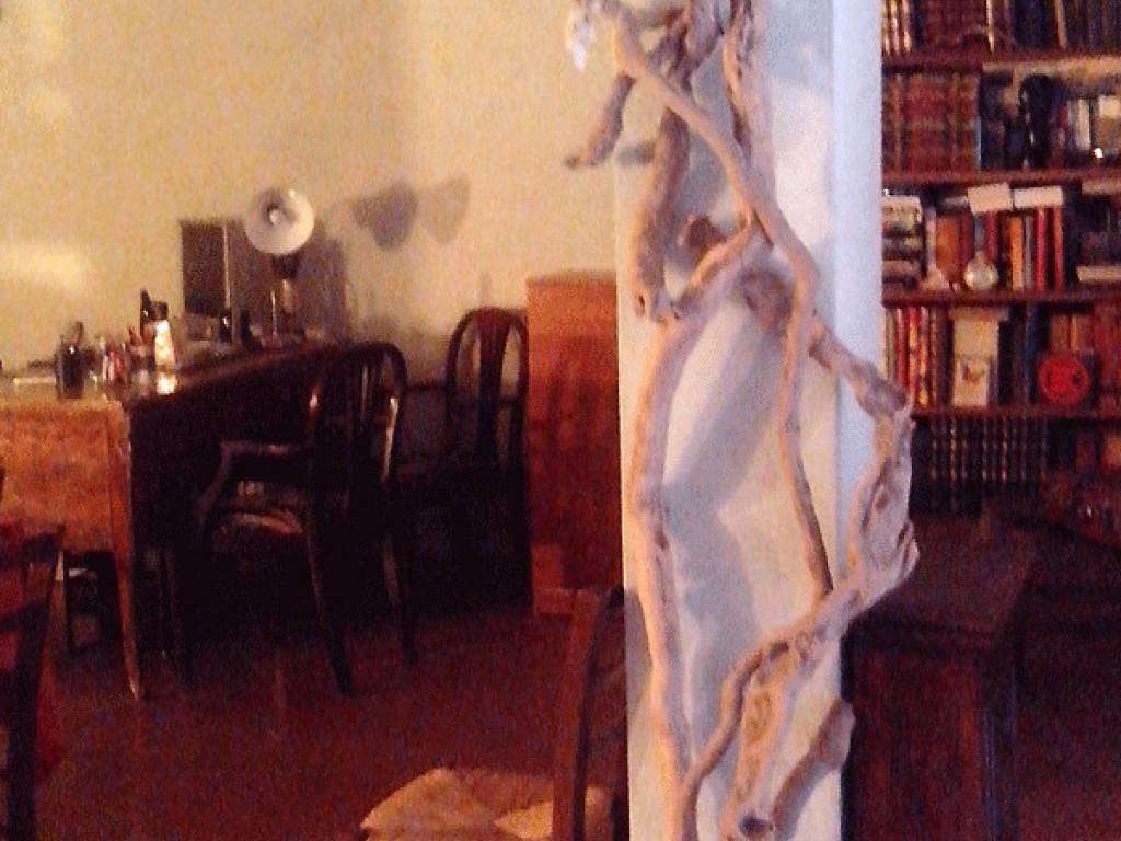  - foto 16