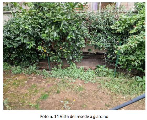  - foto 35
