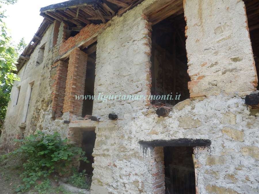  - foto 11