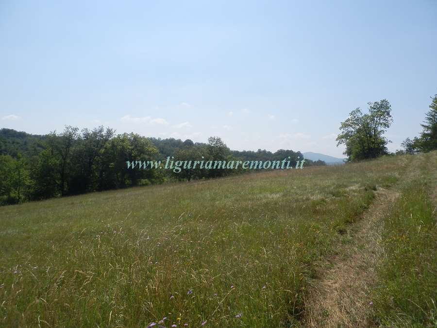  - foto 23