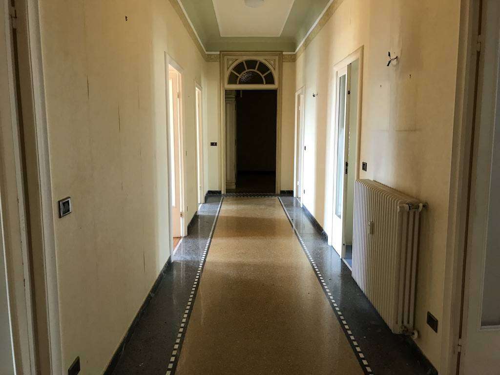  - foto 19