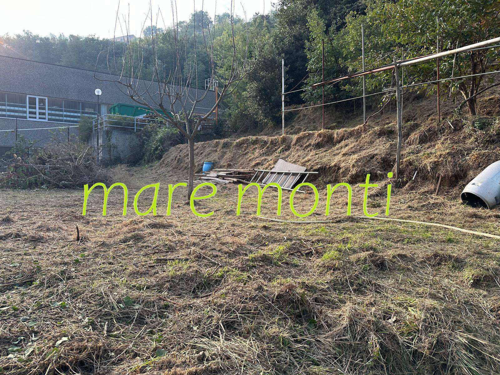  - foto 10