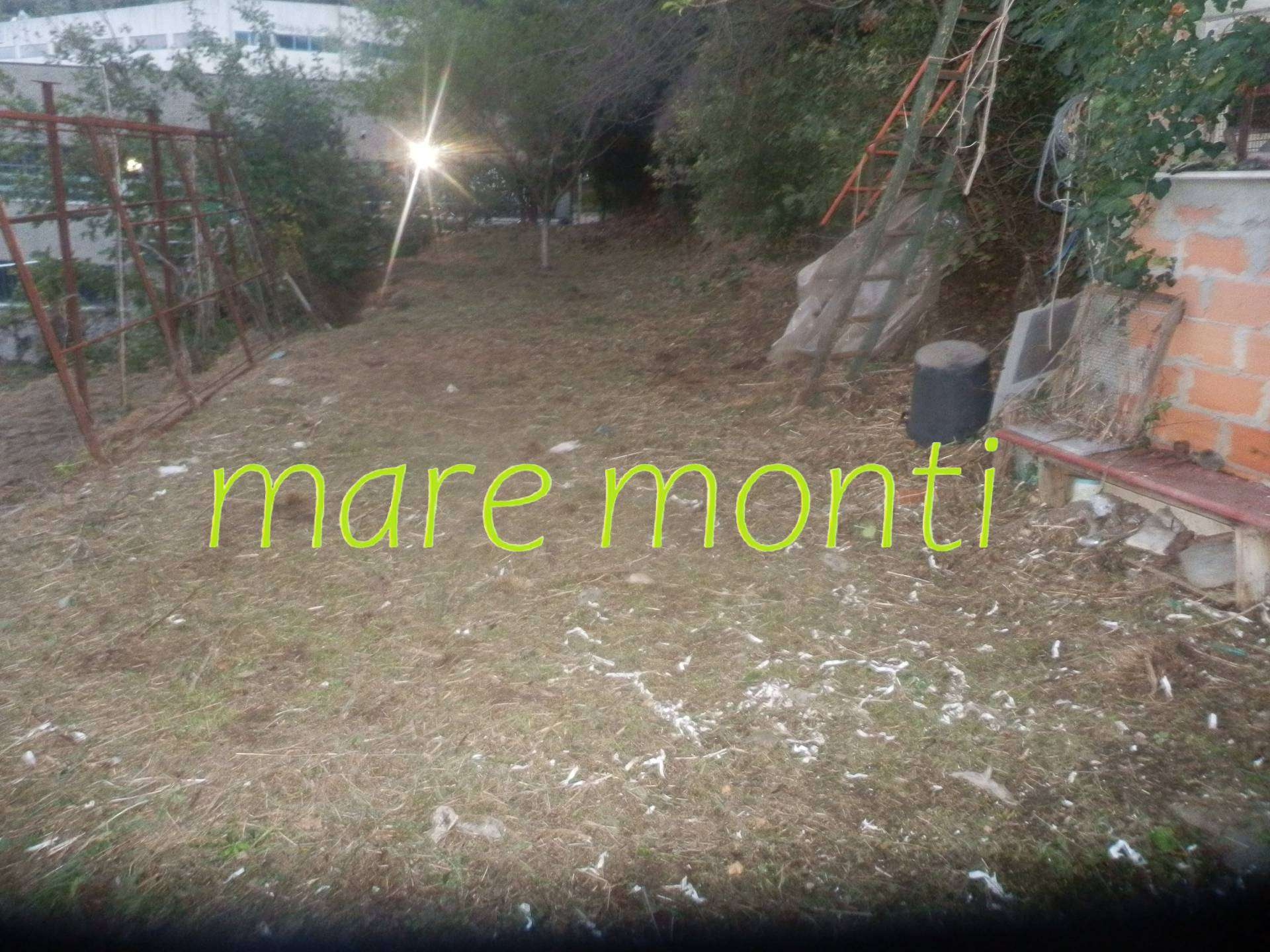  - foto 11
